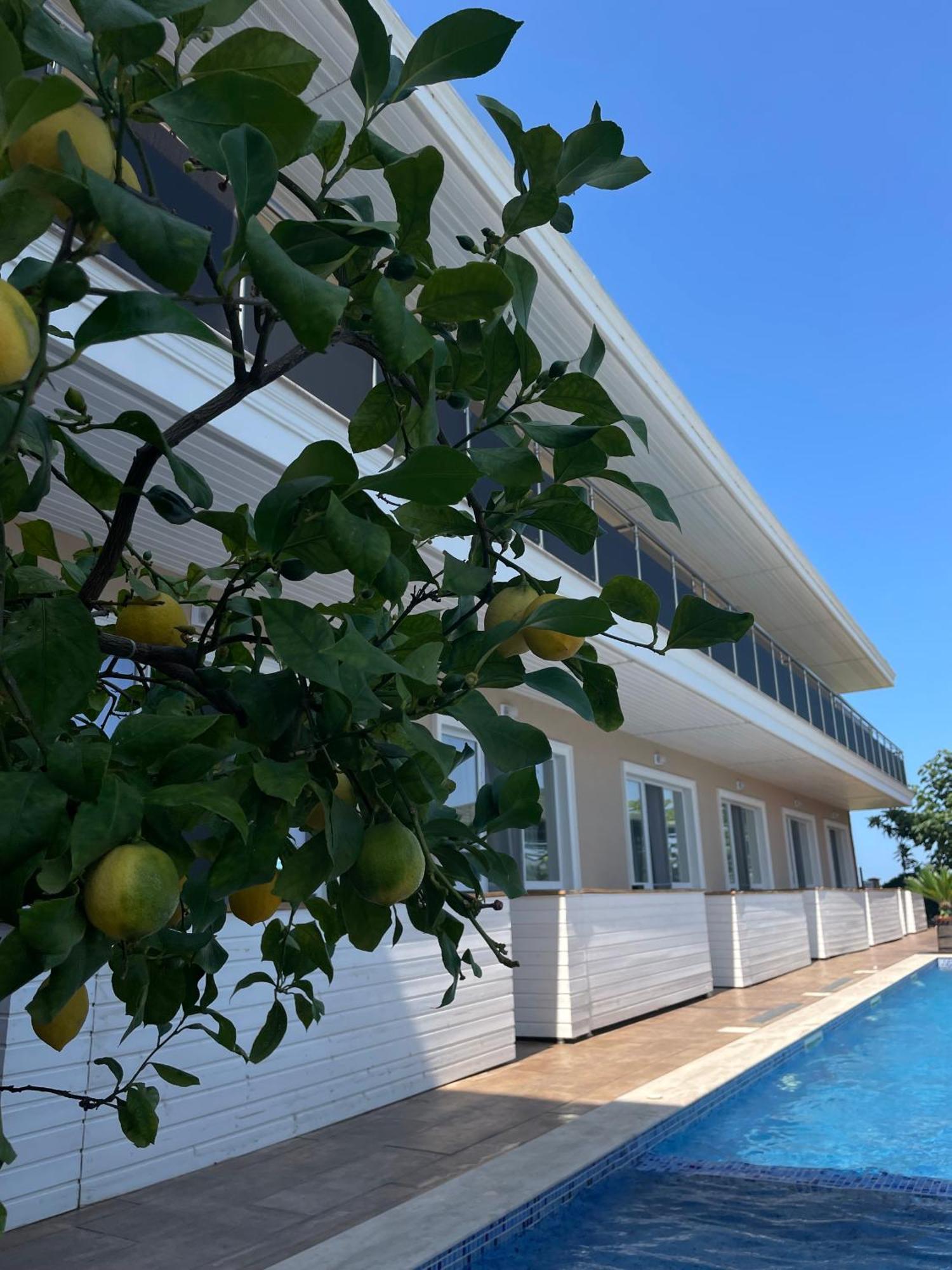 Gradina Holiday Sozopol Exterior photo